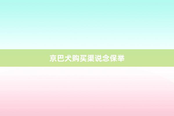 京巴犬购买渠说念保举